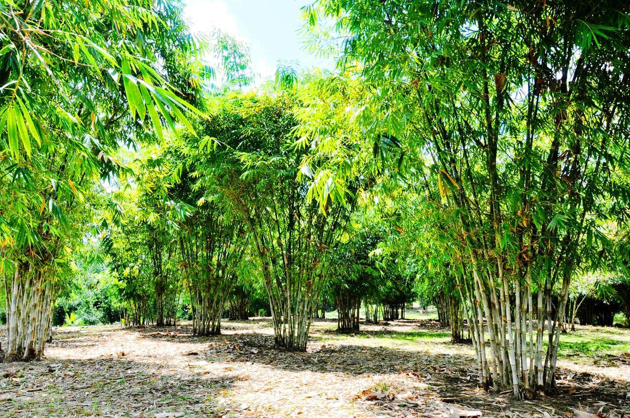 פויו Hosteria Finca El Pigual מראה חיצוני תמונה
