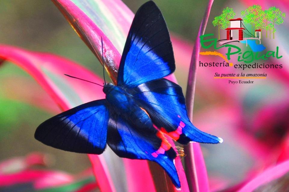 פויו Hosteria Finca El Pigual מראה חיצוני תמונה